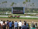 A Day at the Races