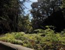 Gardens of Great Delight