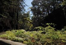 Gardens of Great Delight