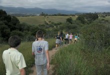 Much Love for More Mesa