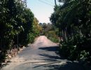 Goleta Tour Uncovers Hidden Gems