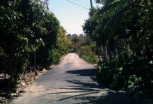 Goleta Tour Uncovers Hidden Gems