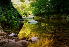 Merry Days Along Sunny Manzana Creek