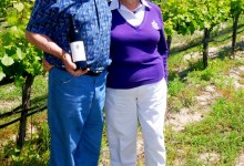 The Dons of Dornfelder