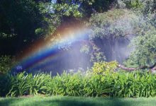 Smart Irrigation