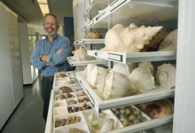 The Beauty of Bivalves