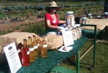 Fomenting Fermentation