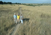 Build to Save More Mesa?