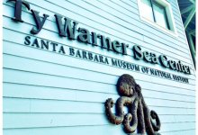 Fun Photos of Jellyfish