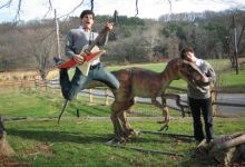 Harry and the Potters Prepare to Cast a Spell in Isla Vista