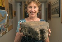 Small Dig, Big Discovery