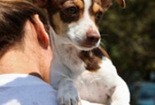 Adoptable Pet of the Week