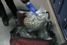 Man Arrested for Reportedly Growing Weed for L.A. Dispensaries