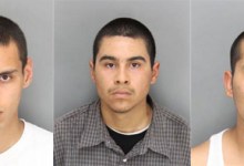 Group Takes Plea Deals in Gang-Related Stabbing Case