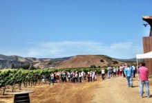 Into the Wine & Fire