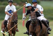 All the Pretty Ponies