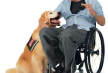 Free Dog Service for Local Man