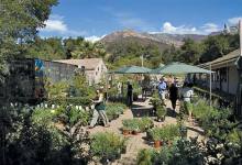 SBBG’s Fall Flora Sale