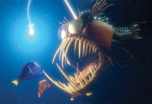 Finding Nemo 3D