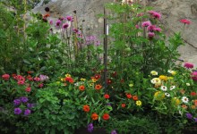 A Fifty-Dollar Planting Hole