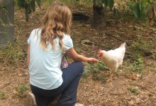 Fairview Gardens Introduces its Free Urban Seeds Program