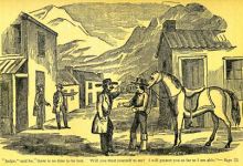 Who Was Ned McGowan?