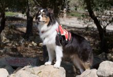 Kody: 1998 – 2012