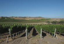 Santa Barbara Wine Country Ordinance Shot Down