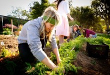 Westmont Gardens Get Fruitful Additions