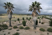 Little Opposition to Big Measure