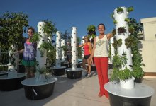 Chapala Gardens Brings Rooftop Tower Farming to S.B.