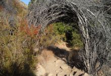 Matilija North Fork Backpack