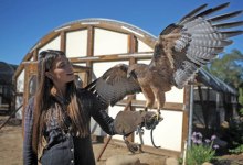 Ojai Raptor Open House