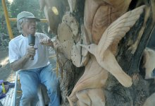 Montecito’s Massive Tree Sculpture