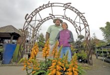 Secrets of Seaside Gardens