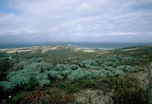 Beyond Island of the Blue Dolphins