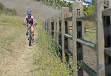 Sue “Flying” Fish Honored