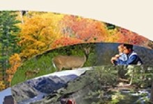 US Forest Service Report Forecasts Natural Resource Management Trends and Challenges for Next 50 Years