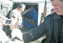 Animal Control Responds to Mountain Lion in Backyard