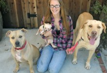 Deserving Dogs to the Rescue