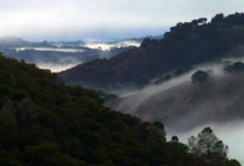 The Santa Ynez River Wilderness