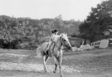 From Stable to Table?