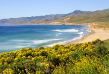 Jalama Beach Park to Go Live