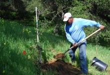 Valle Verde Retirement Community Plants 150 Native Grown Oak Trees to Expand Campus Oak Woodland Preserve