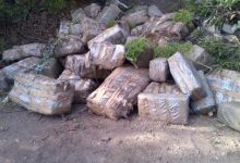 Pot-Heavy Panga Washes Up on Arroyo Quemada Beach