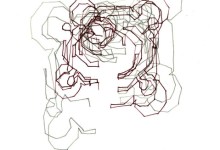 Birds, Water, and Labyrinths