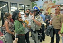 Bees (and Flies) in the Bonnet