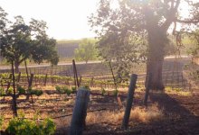 Resetting Radar on Paso Cab