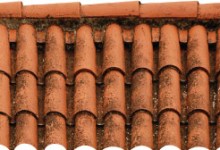 Entrusted with the Past