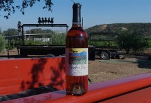 Condor’s Hope Wines at Botanic Garden